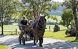 Bayerwald Pferdekutschfahrten